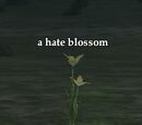 A hate blossom