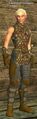 Landwyn Velamir.jpg
