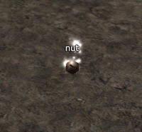 Seed Sampling nut