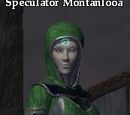 Speculator Montanlooa