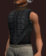 Darkblade's Hauberk of the Citadel (Equipped)