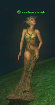 A maiden of midnight