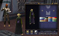 Guild hall amenity - guild cloak designer.jpg