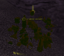 A rubble dervish