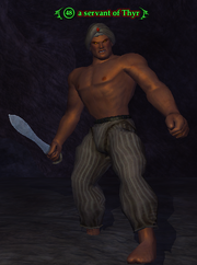 A servant of Thyr