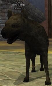 Septimus