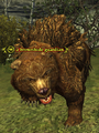 A brownhide guardian.png