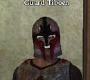 Guard Tiboen
