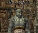 A Deathfist priest