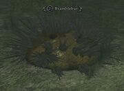 Bramblebur
