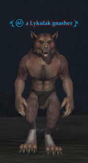 A Lykulak gnasher