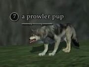 Prowlerpup
