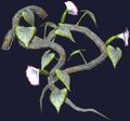 Wild trumpetflower vine (Visible).jpg