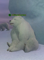 A blizzard matron.png
