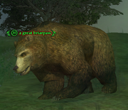A great briarpaw