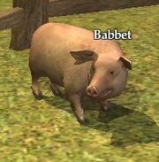 Babbet