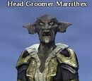 Head Groomer Marrithex