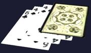 Zoe's Wild Deck of Playing Cards (house)