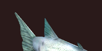 A tiny barracuda plushie