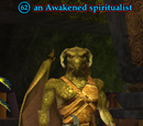 An Awakened spiritualist