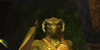 An Awakened spiritualist