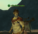 A Steelhoof raider