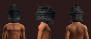 Archon's Barbute of the Citadel (Equipped)