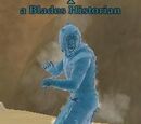 A Blades Historian