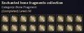 CQ bonefragment enchanted Journal.jpg