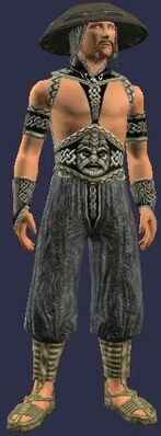 Perception (Armor Set) (Visible, Male)