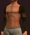 Ascendant's Arm Wraps of Stability (Equipped).png