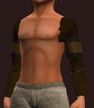 Ascendant's Arm Wraps of Stability (Equipped).png