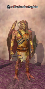A Blackscale chaplain