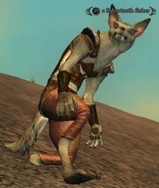 A Sabertooth fisher