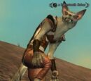 A Sabertooth fisher