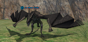 An ebon drake