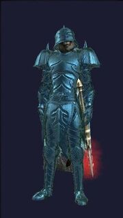 Champion of the Void (Equipped)