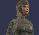 Sturdy leather (Armor Set)