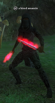 A hired assassin (Lesser Faydark)