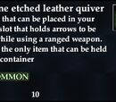 Pristine etched leather quiver