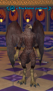 A Blacktalon partisan