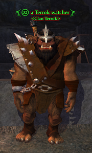 A Terrok watcher