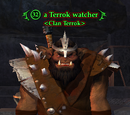 A Terrok watcher