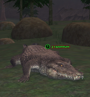 A razormaw