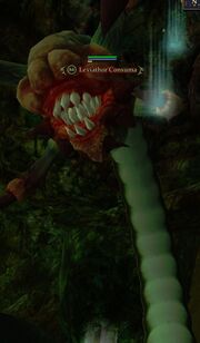 Leviathor'Consuma