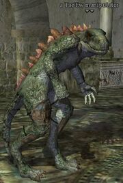 A Tae'Ew manipulator