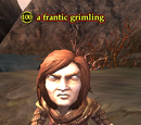 A frantic grimling