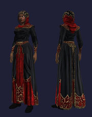 Flowing Black Robe Equipped