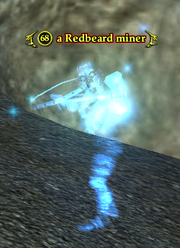 A Redbeard miner