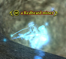 A Redbeard miner